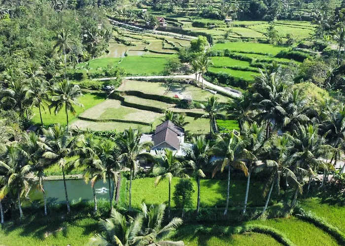 Sarang Walet Homestay
