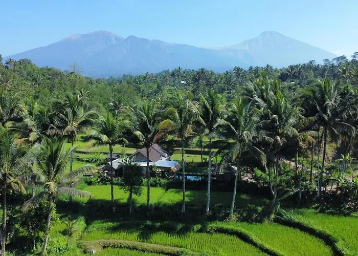 Sarang Walet Homestay