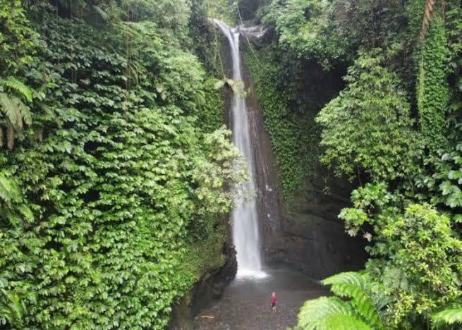 Sarang Walet Homestay Tetebatu