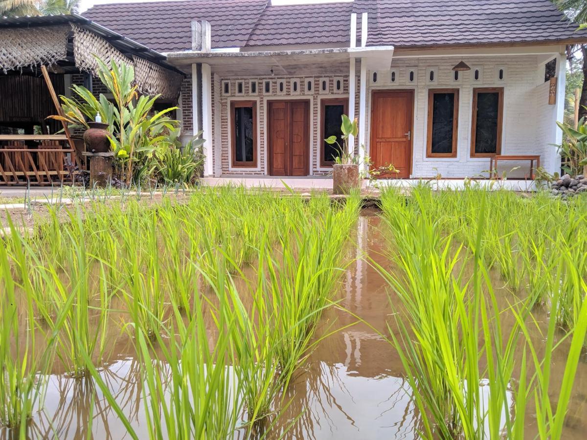 Homestay Sarang Walet *