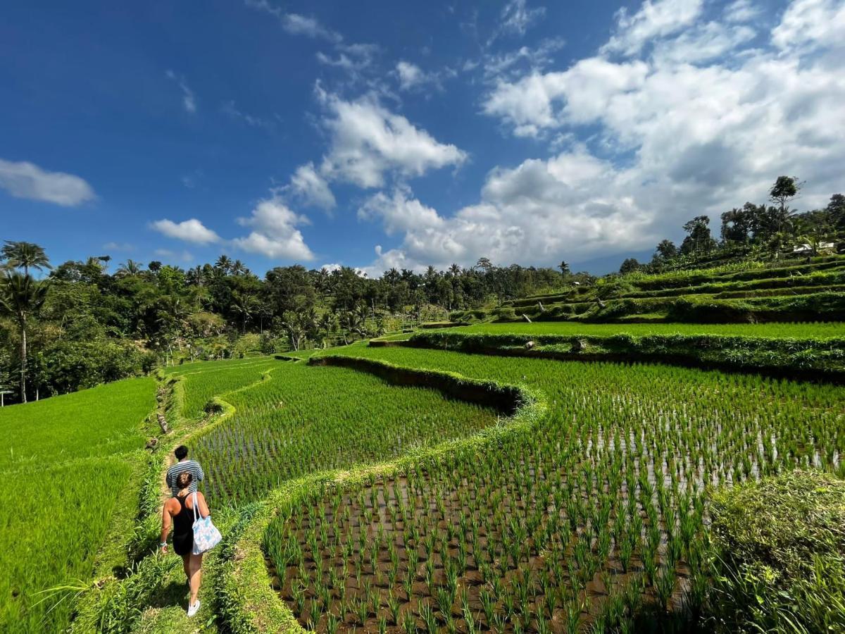 Sarang Walet Homestay Tetebatu