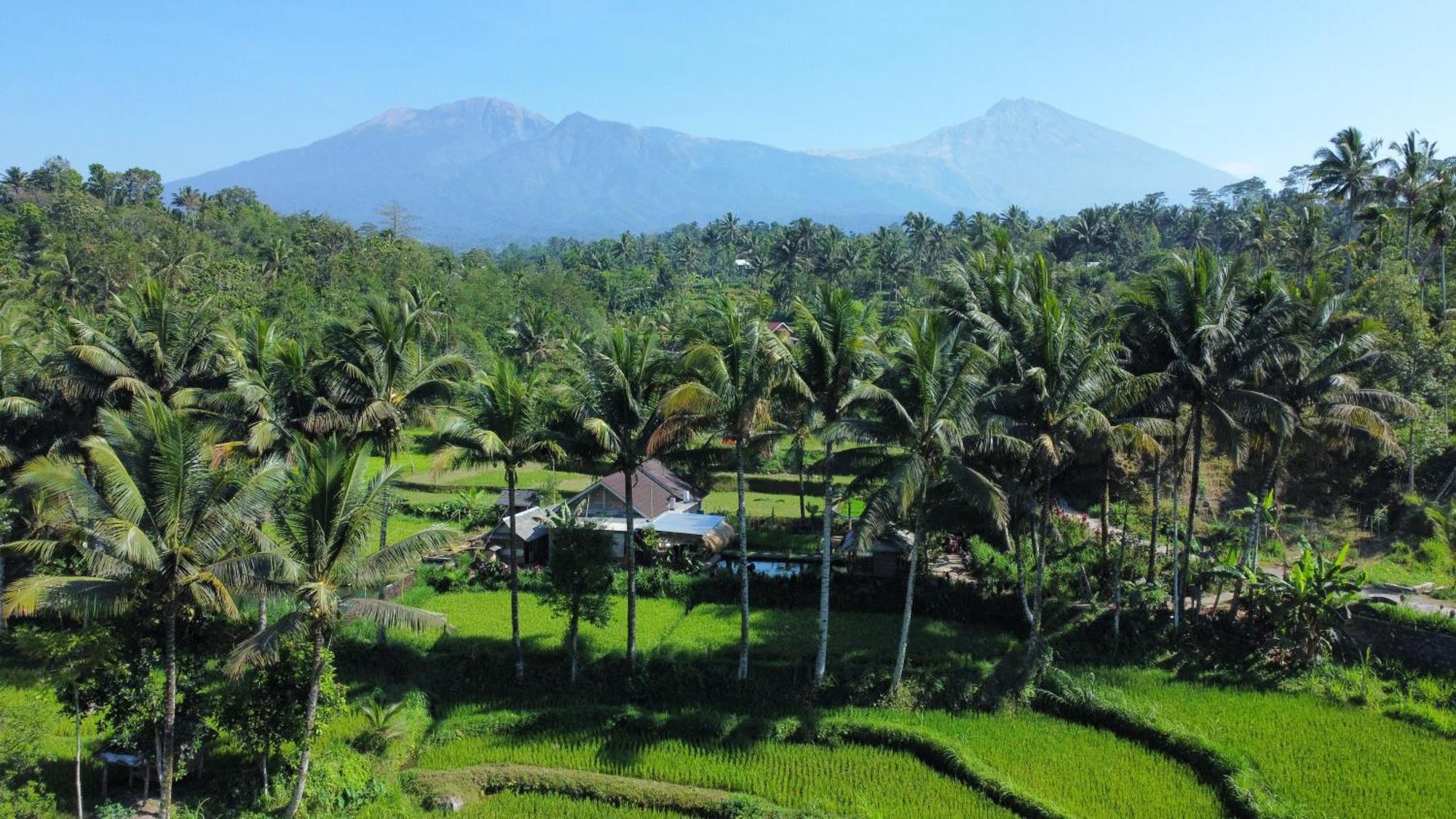 Sarang Walet Homestay *