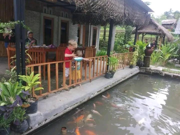 Sarang Walet *