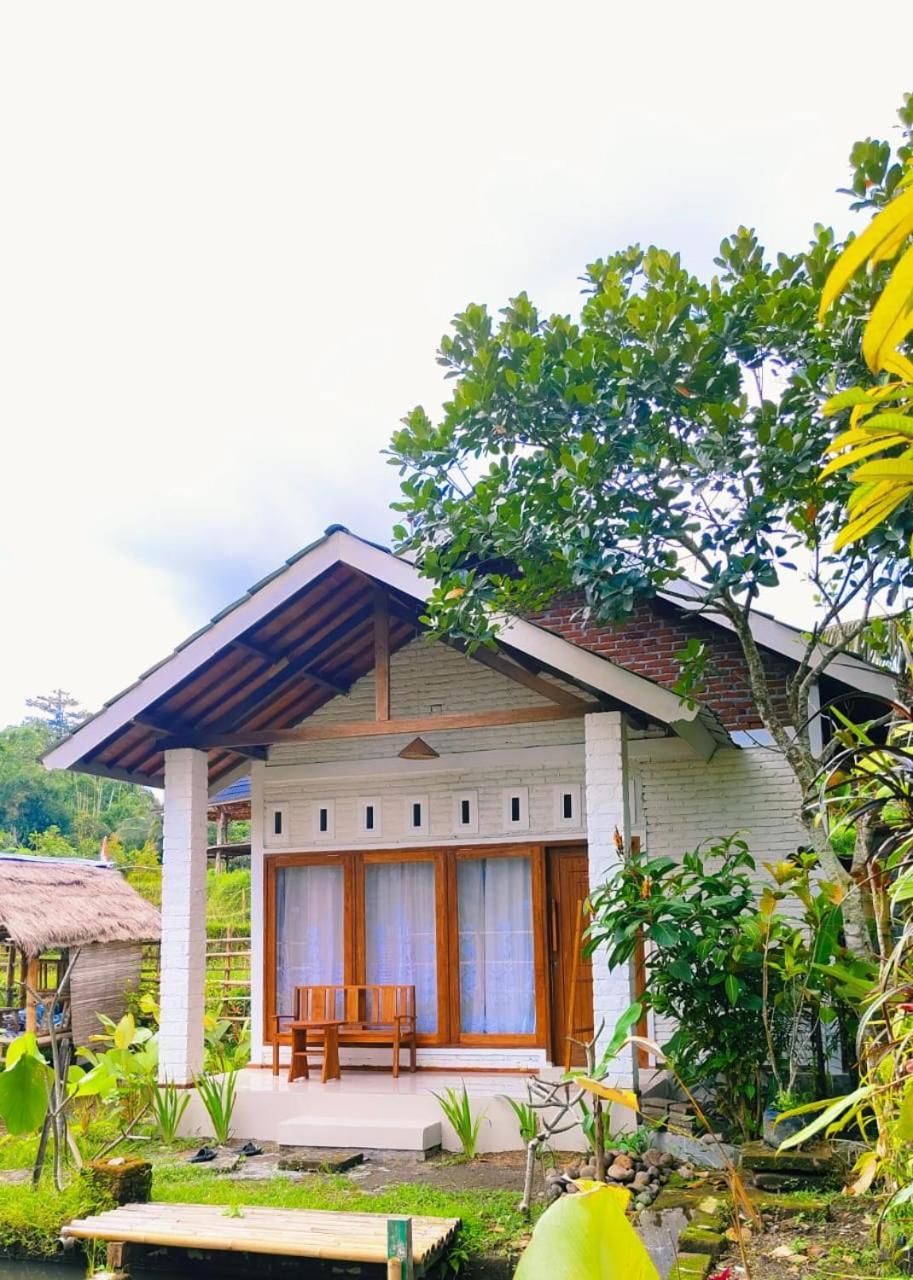 Sarang Walet Homestay *